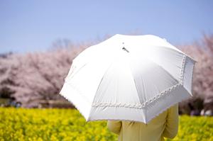 霊芝を専門発売しているところはここ